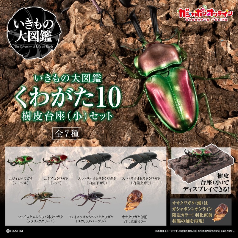 PRE-ORDER Bandai - The Diversity of Life on Earth - Stag Beetle 10 Bark Pedestal (Small) [Set of 7] [EXCLUSIVE]